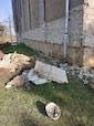 project_image